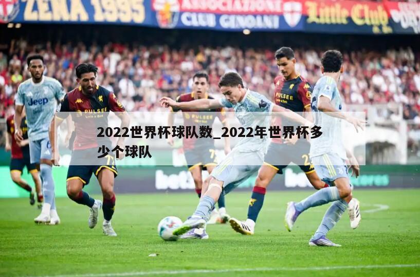 2022世界杯球队数_2022年世界杯多少个球队