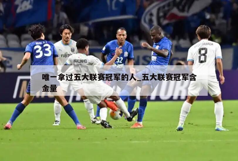 唯一拿过五大联赛冠军的人_五大联赛冠军含金量