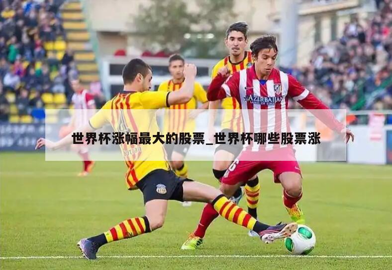 世界杯涨幅最大的股票_世界杯哪些股票涨
