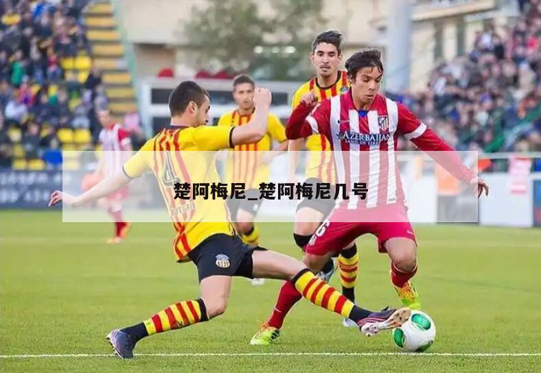 楚阿梅尼_楚阿梅尼几号