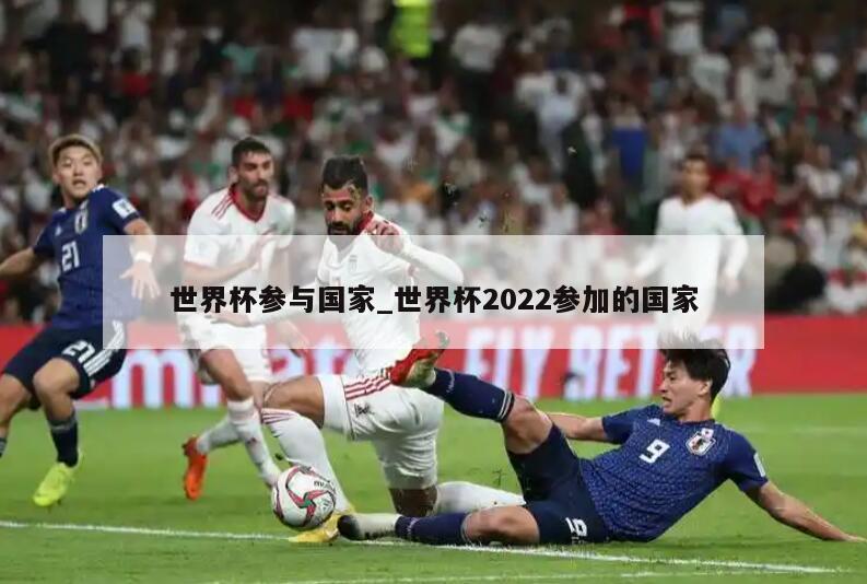 世界杯参与国家_世界杯2022参加的国家